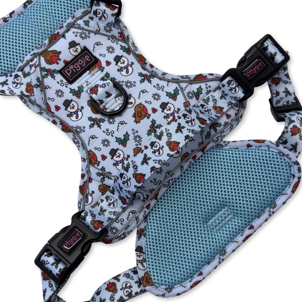 Mr Robin Explorer Dog Harness